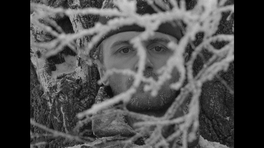 Screen capture from The Ascent