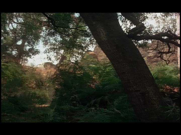Screen capture from Picnic at Hanging Rock