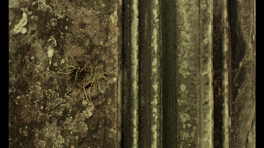 Screen capture from World of Wong Kar Wai