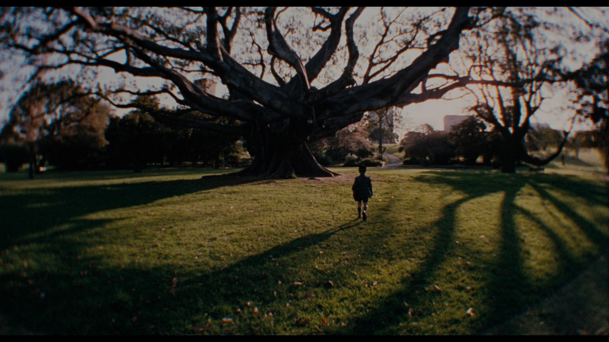 Screen capture from Walkabout