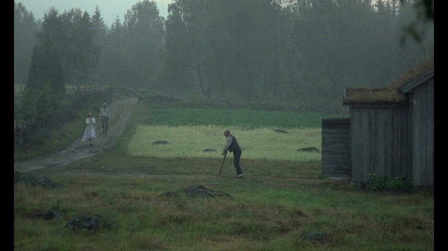 Screen capture from The Emigrants • The New Land