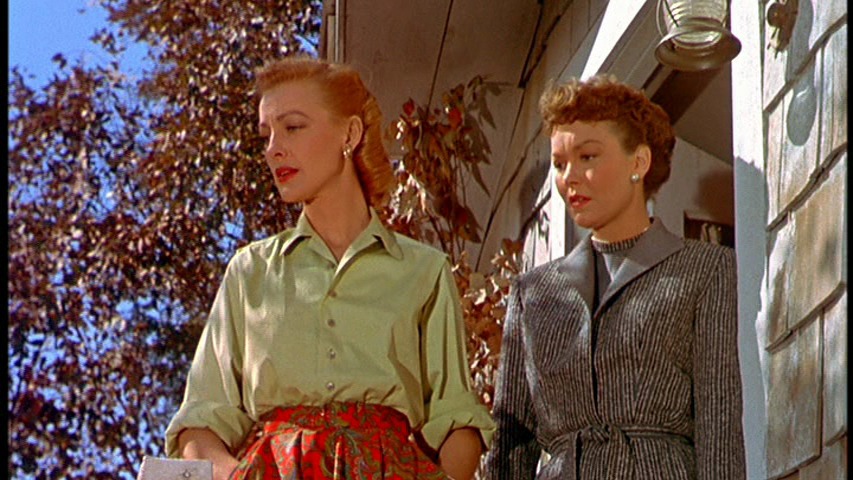 Screen capture from All That Heaven Allows