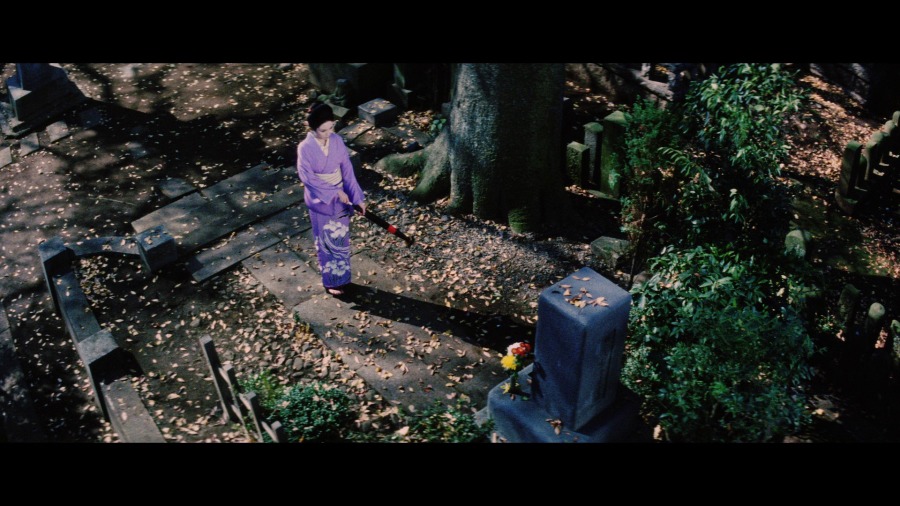 Screen capture from The Complete Lady Snowblood