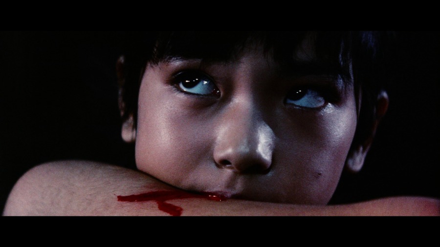 Screen capture from The Complete Lady Snowblood