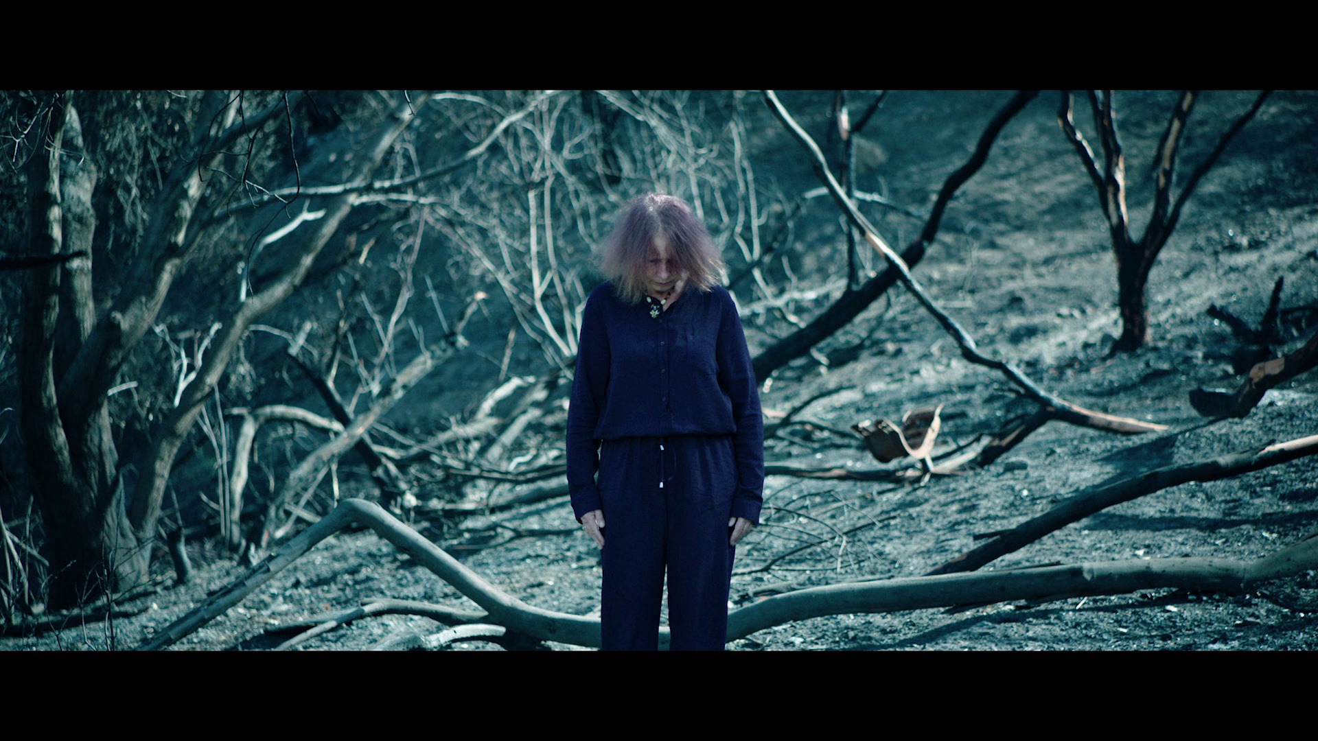 Screen capture from Two Witches