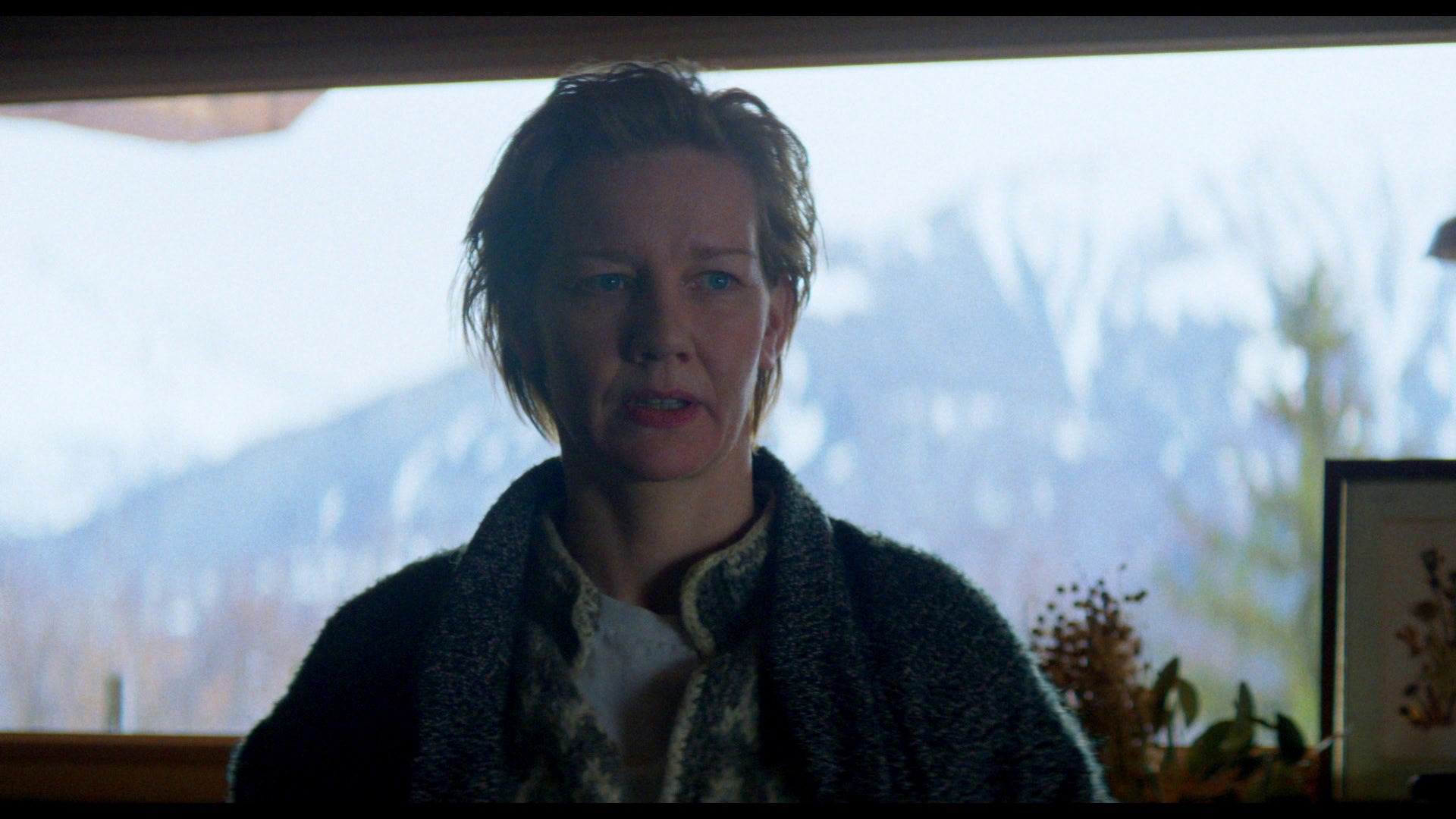 Screen capture from Anatomy of a Fall