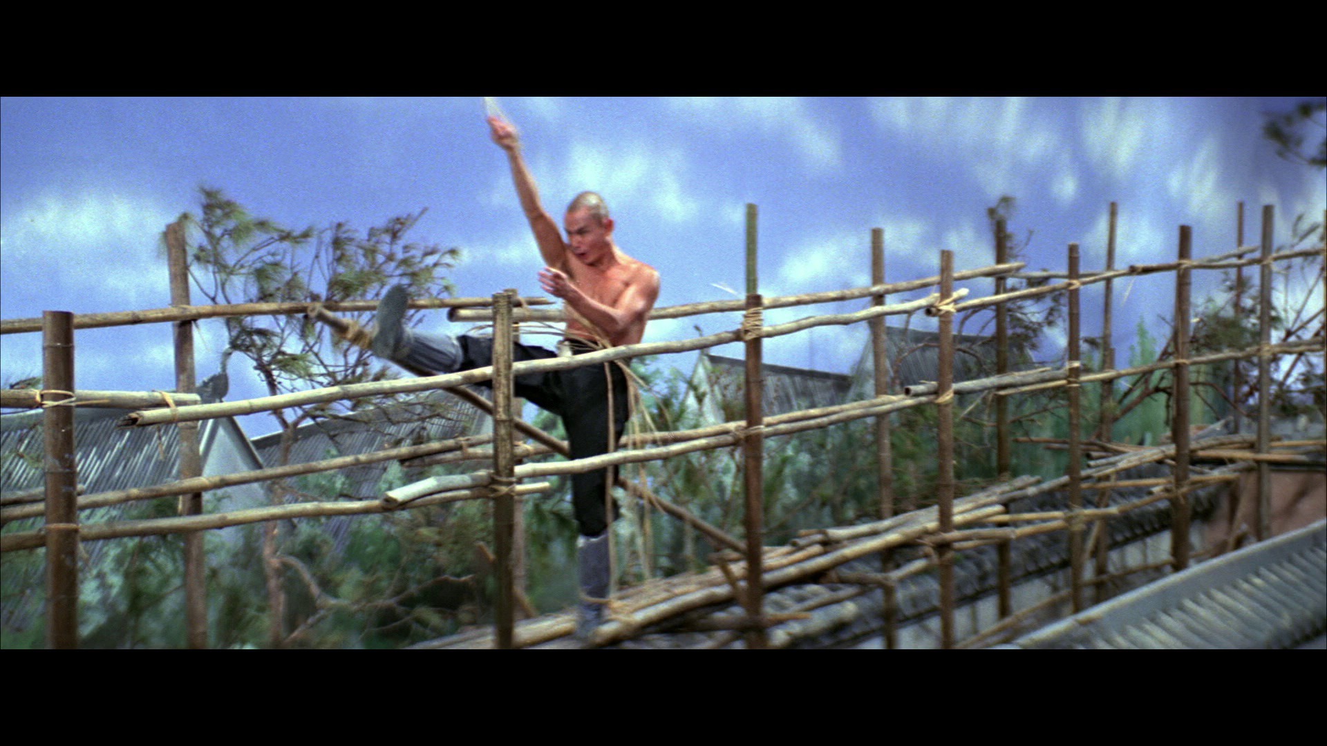 Screen capture from Shawscope: Volume Two