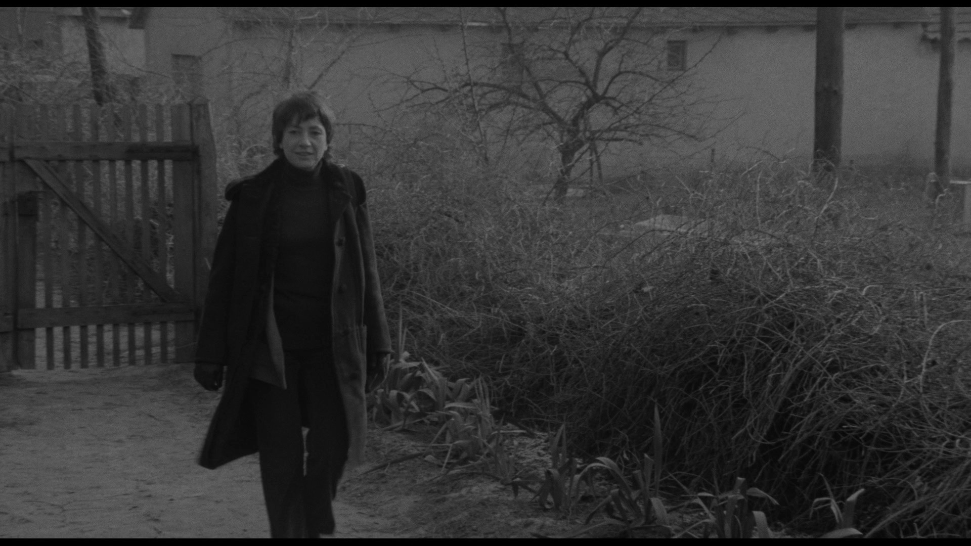 Screen capture from Adoption