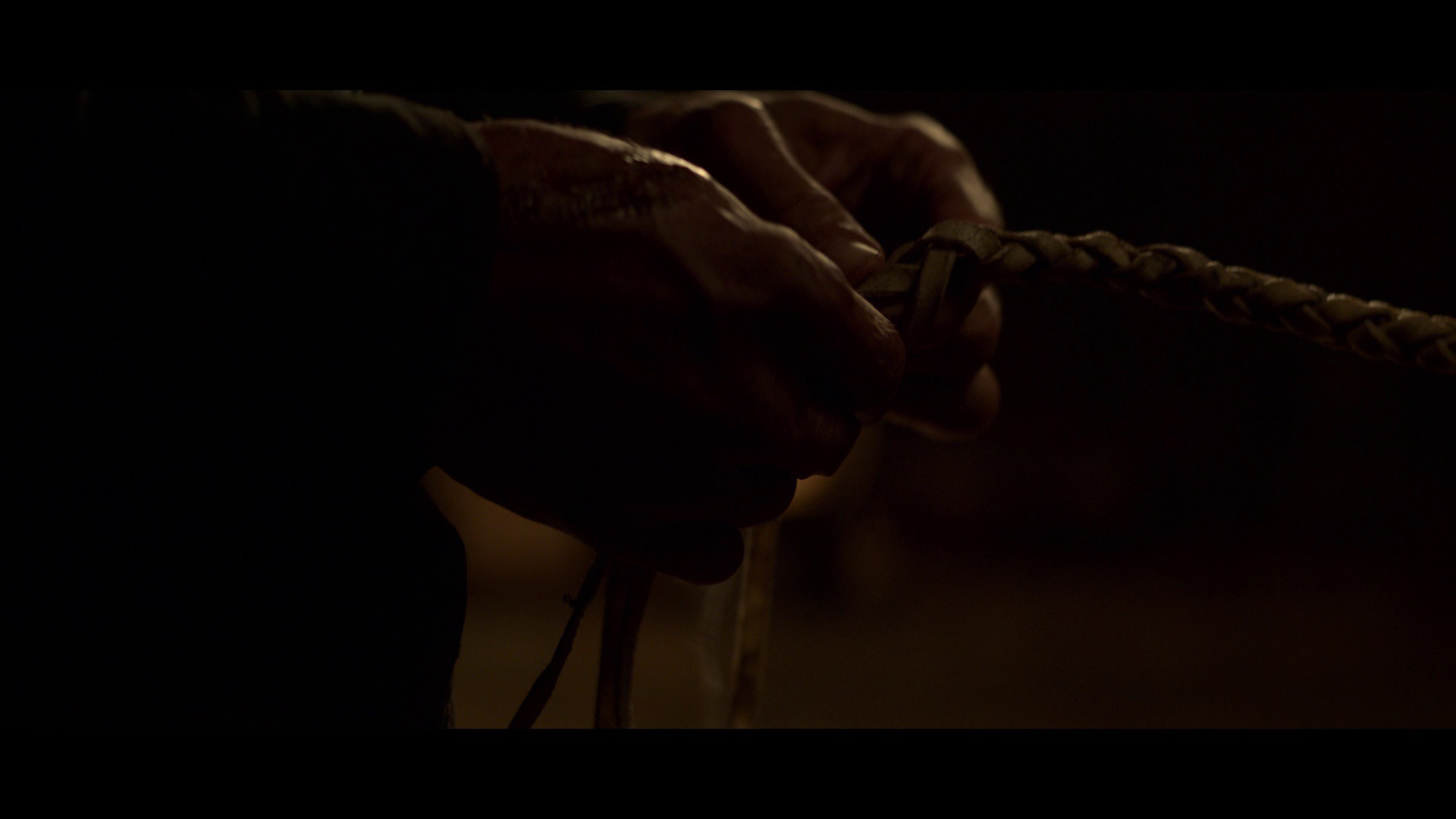 Screen capture from The Power of the Dog