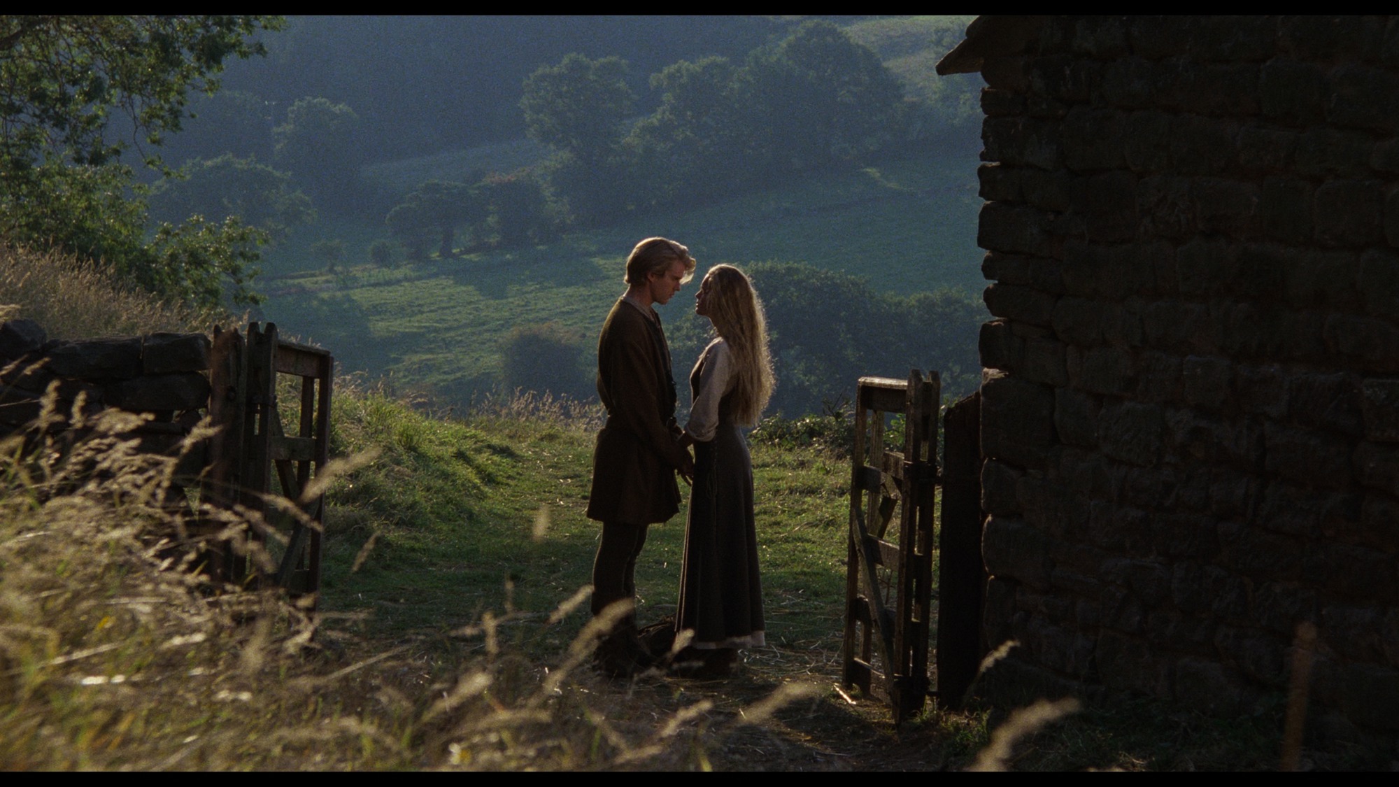 Screen capture from The Princess Bride