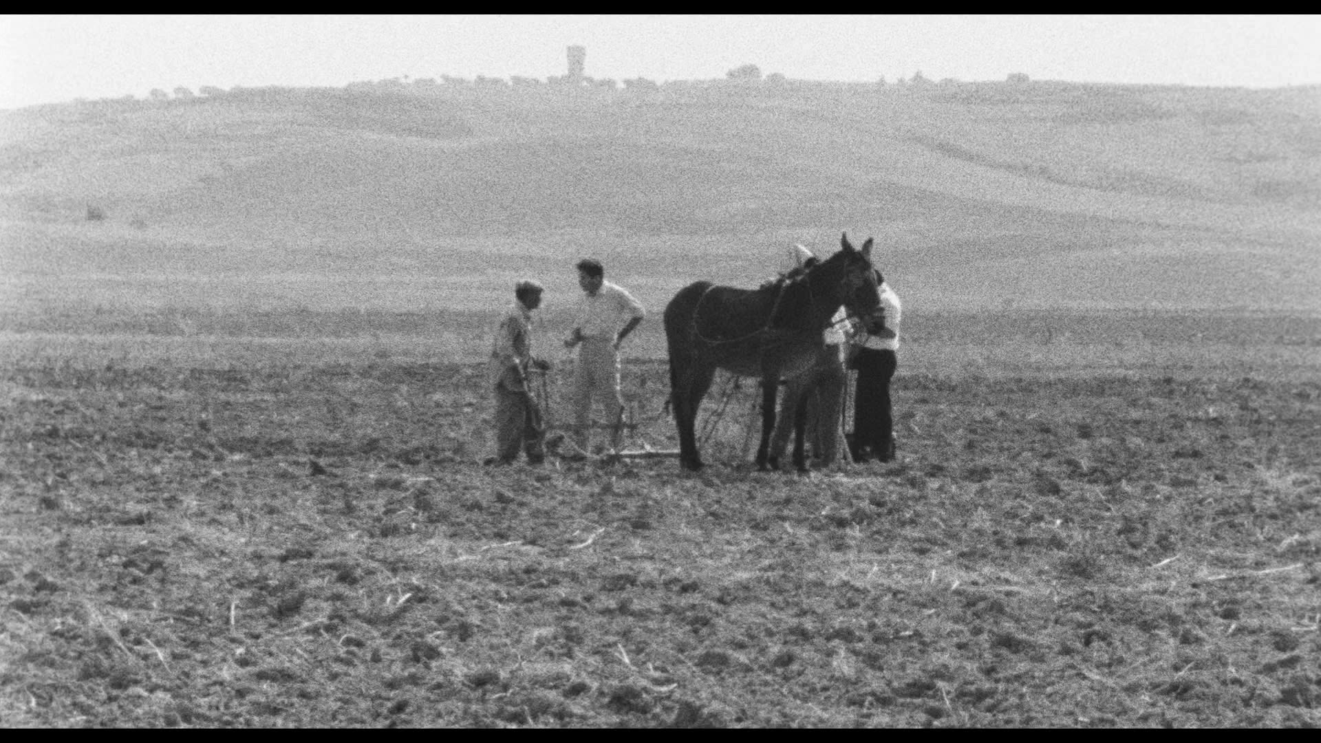 Screen capture from Pasolini 101