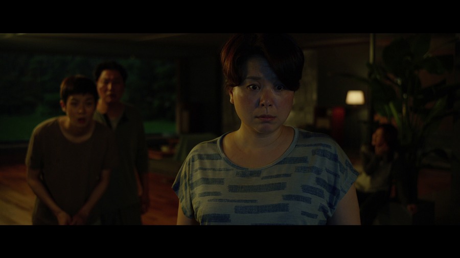 Screen capture from Parasite