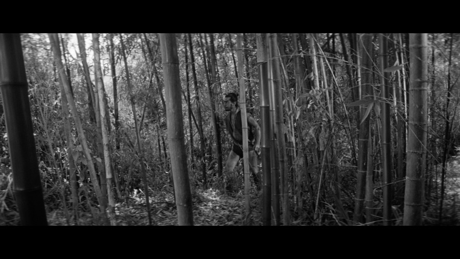 Screen capture from The Hidden Fortress