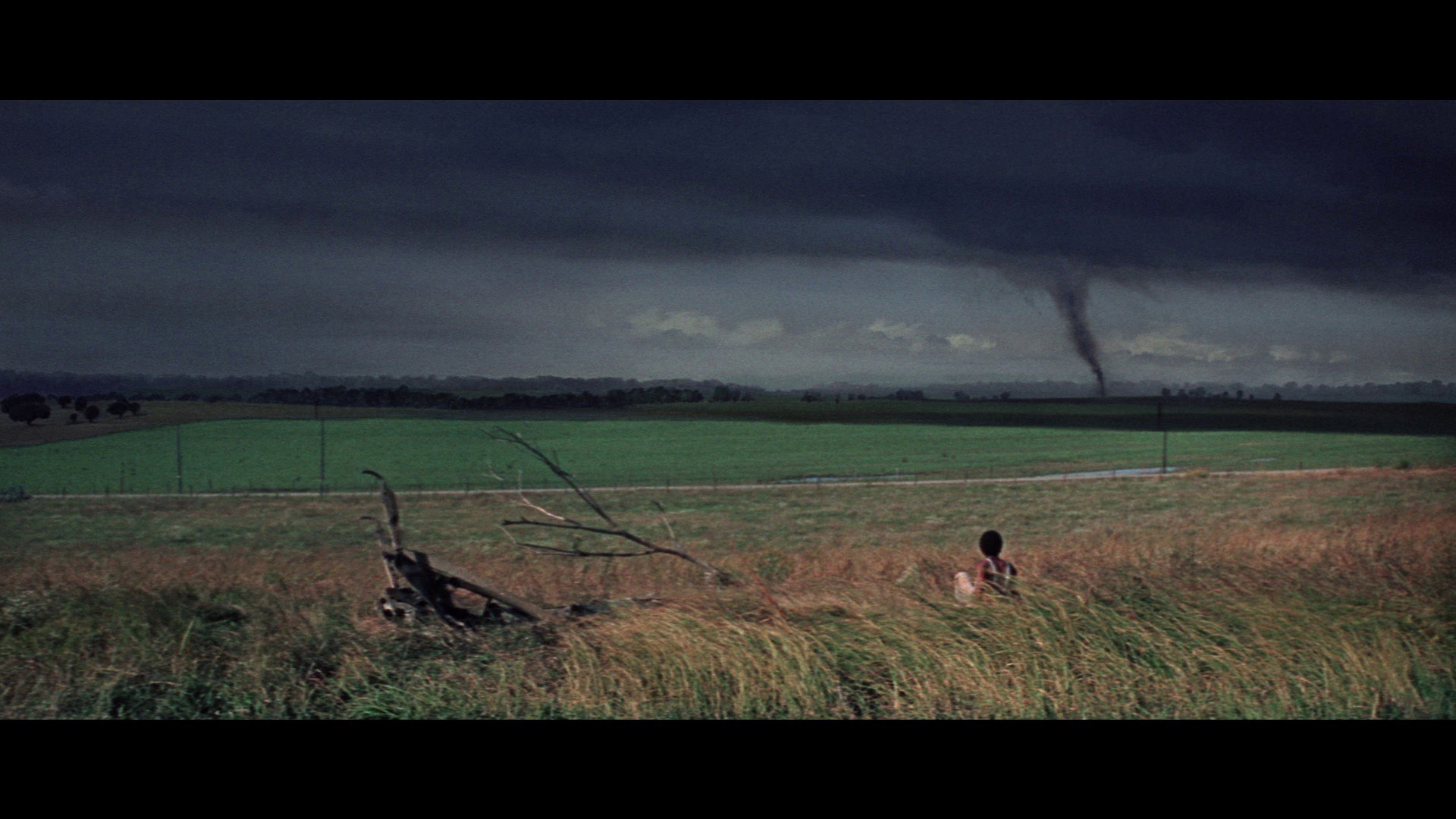 Screen capture from The Learning Tree