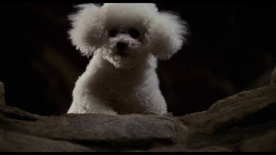 Screen capture from The Silence of the Lambs