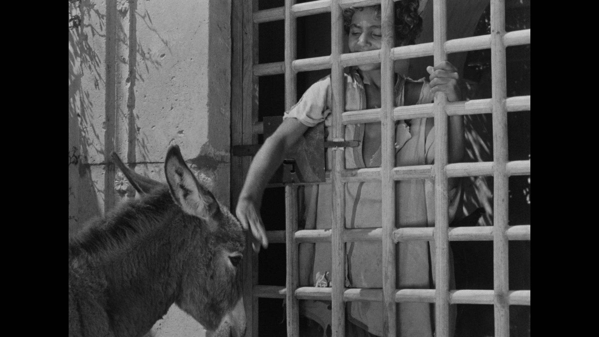Screen capture from The Red Balloon and Other Stories: Five Films by Albert Lamorisse