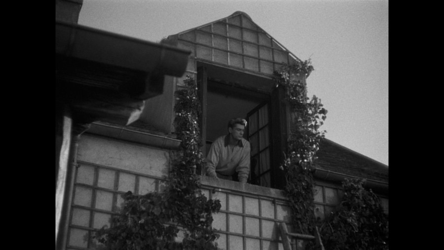 Screen capture from Orpheus