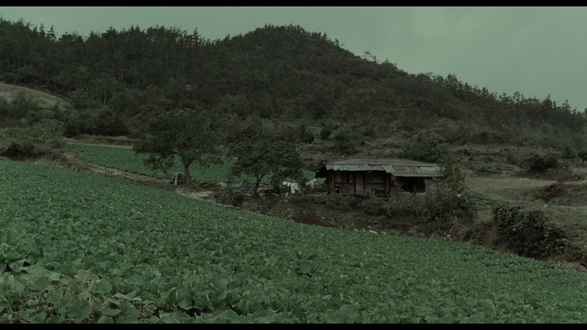 Screen capture from Memories of Murder