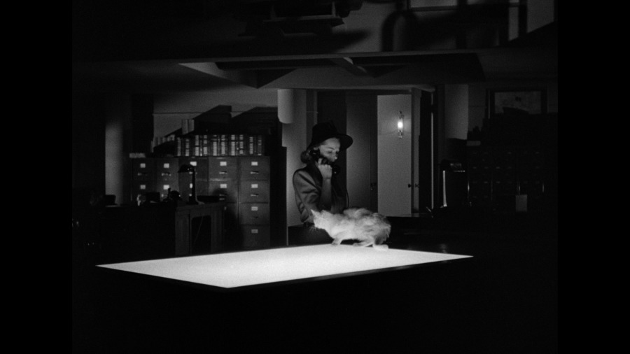 Screen capture from Cat People