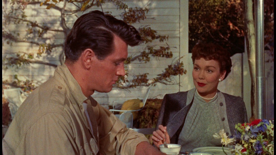 Screen capture from All That Heaven Allows