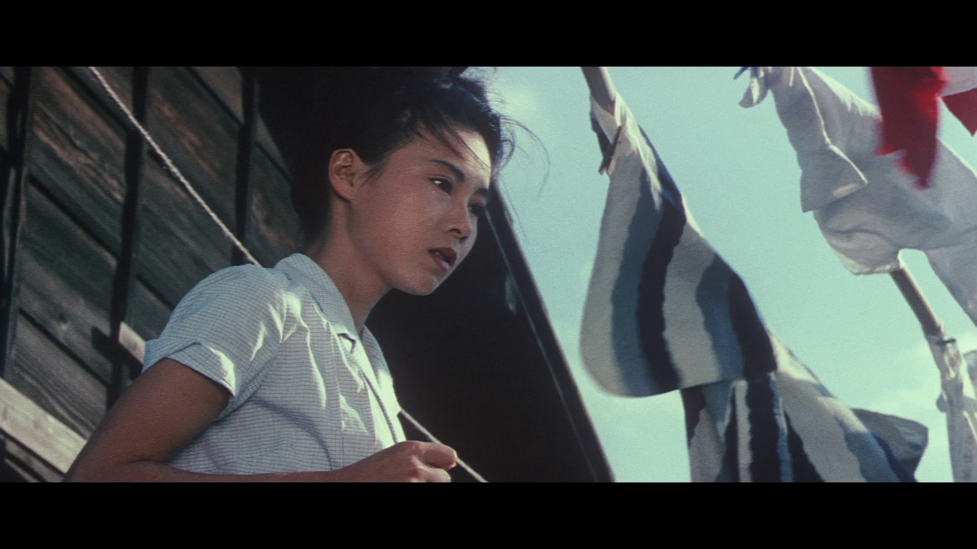 Screen capture from The Shape of Night