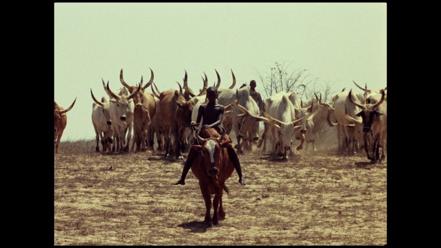 Screen capture from Touki Bouki / Redes