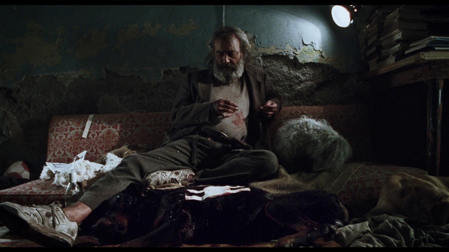 Screen capture from Amores perros
