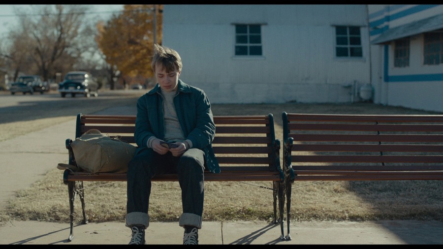 Screen capture from Wildlife
