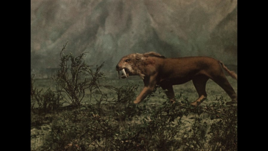 Screen capture from Three Fantastic Journeys by Karel Zeman