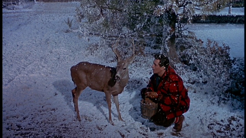 Screen capture from All That Heaven Allows