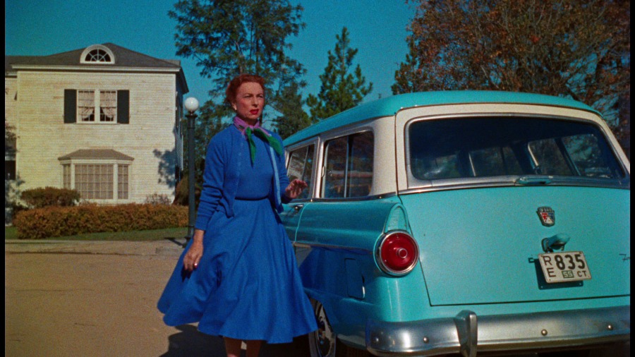 Screen capture from All That Heaven Allows