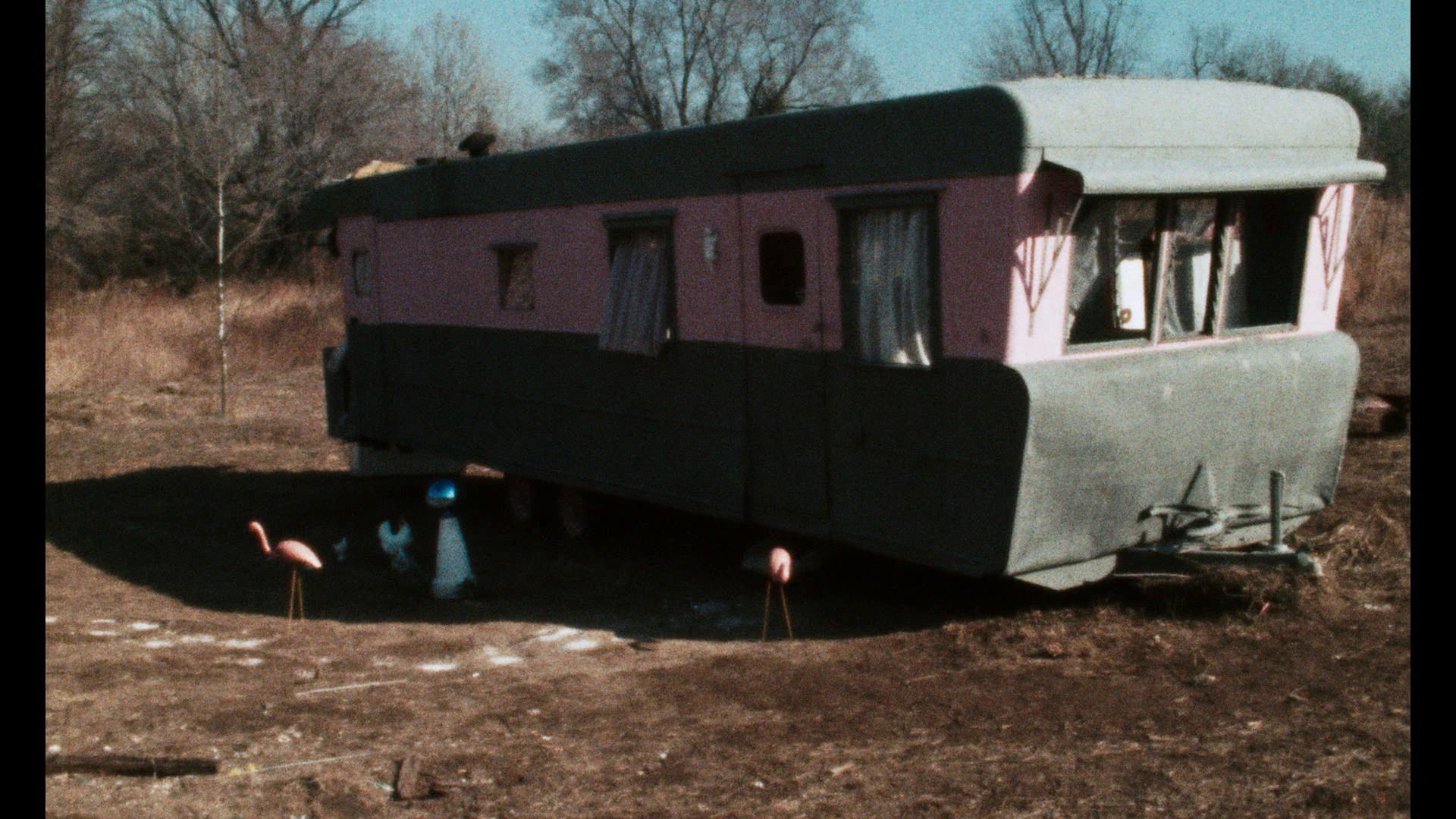 Screen capture from Pink Flamingos