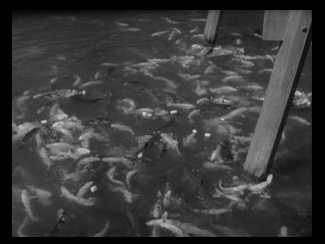 Screen capture from Twenty-Four Eyes