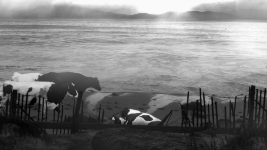Screen capture from 24 Frames