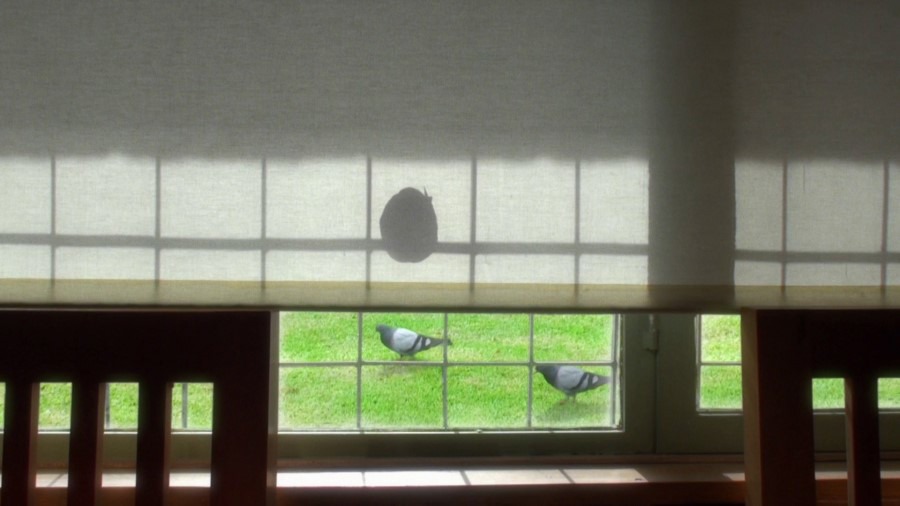 Screen capture from 24 Frames