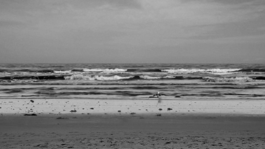 Screen capture from 24 Frames