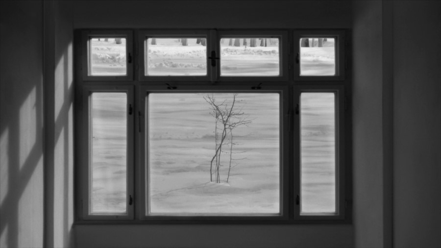 Screen capture from 24 Frames
