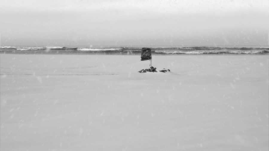 Screen capture from 24 Frames