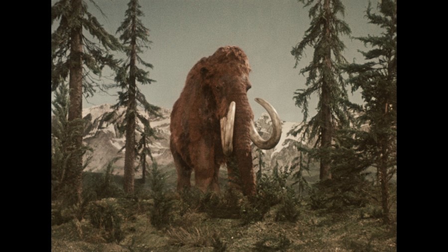 Screen capture from Three Fantastic Journeys by Karel Zeman