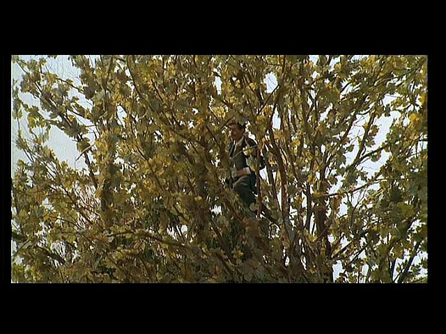 Screen capture from Amarcord