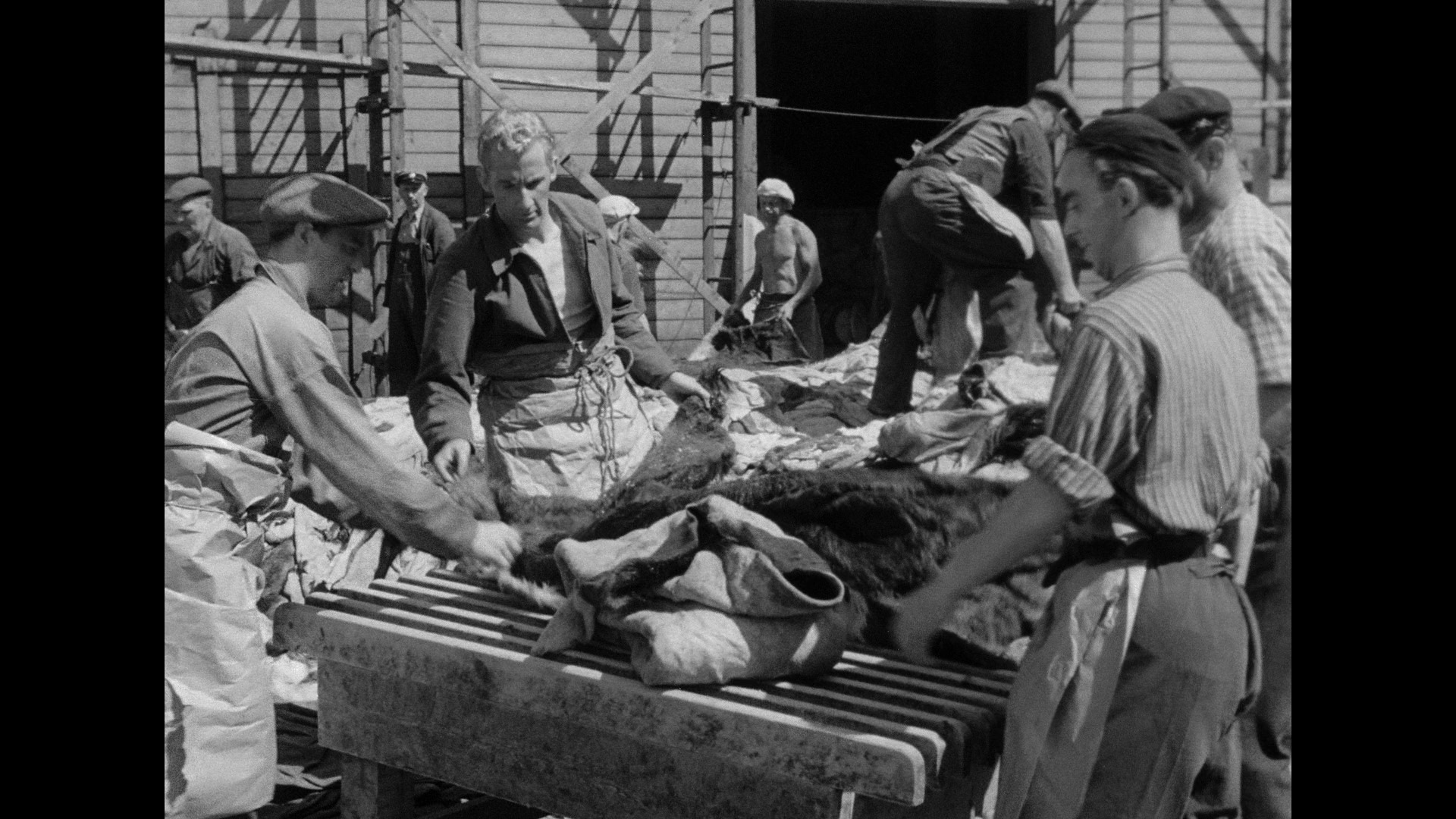 Screen capture from Ingmar Bergman Volume One