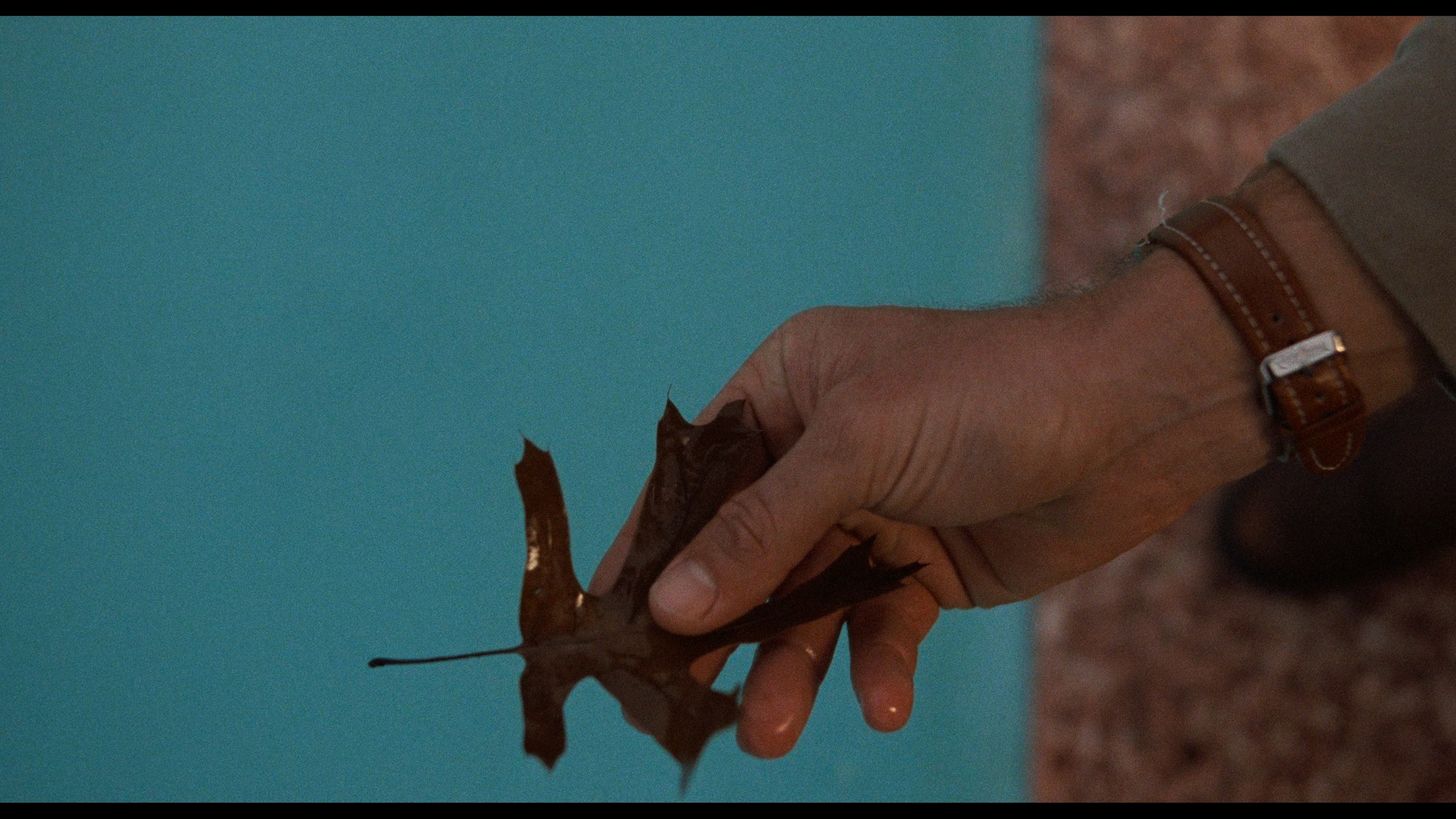 Screen capture from The Wes Anderson Archive: Ten Films, Twenty-Five Years