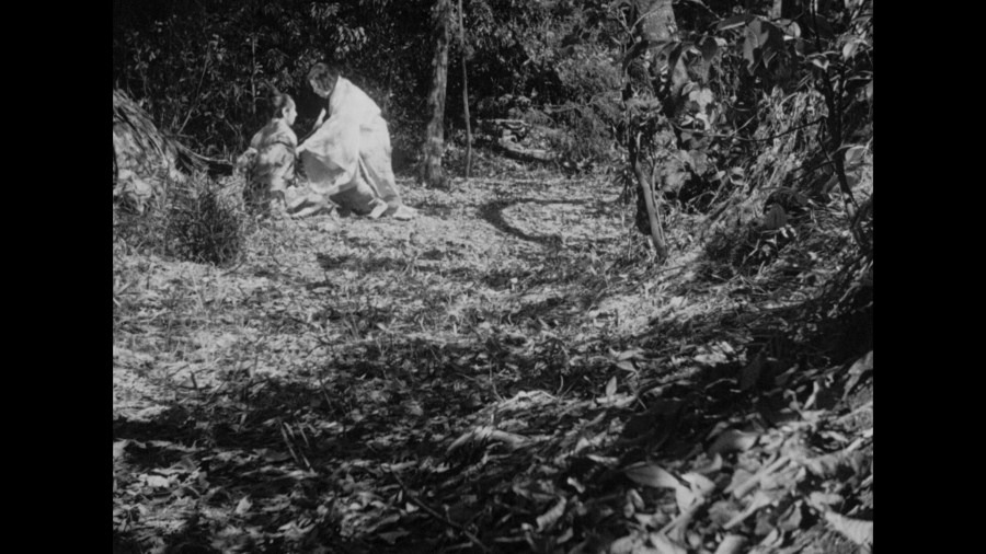 Screen capture from Rashomon