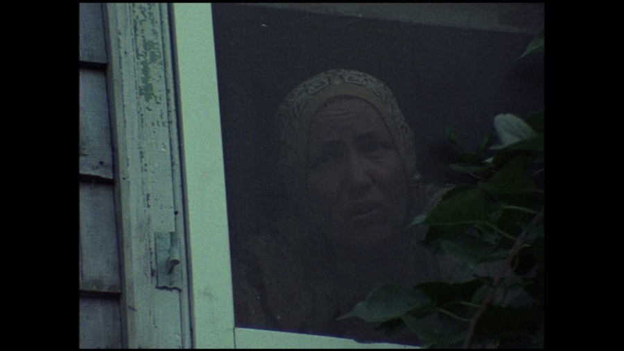 Screen capture from Grey Gardens