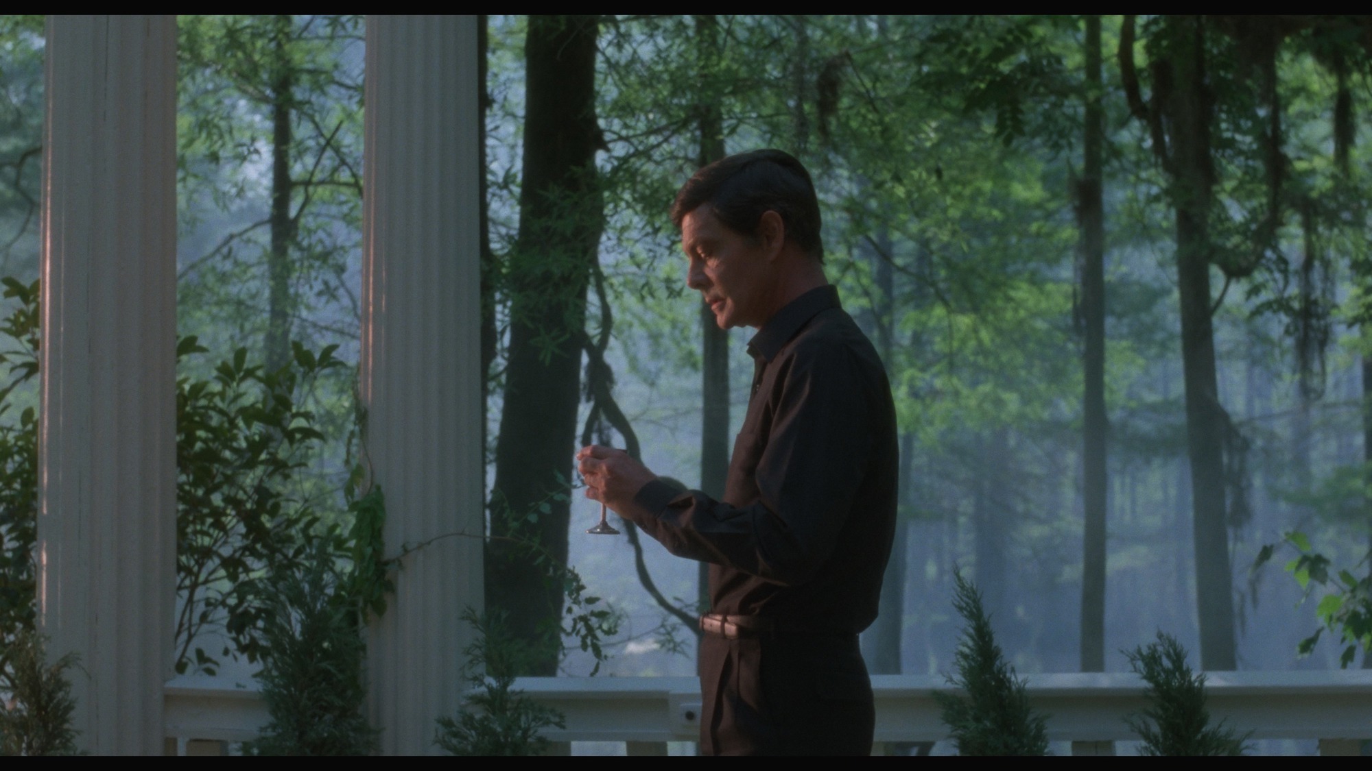 Screen capture from Swamp Thing