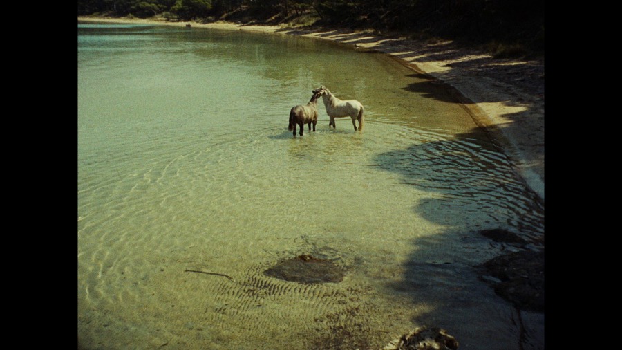 Screen capture from The Complete Films of Agnès Varda
