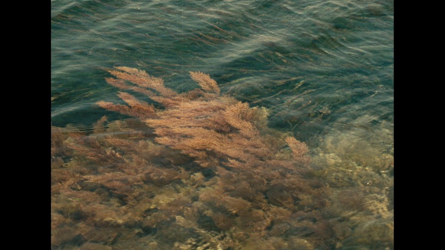 Screen capture from Six Moral Tales