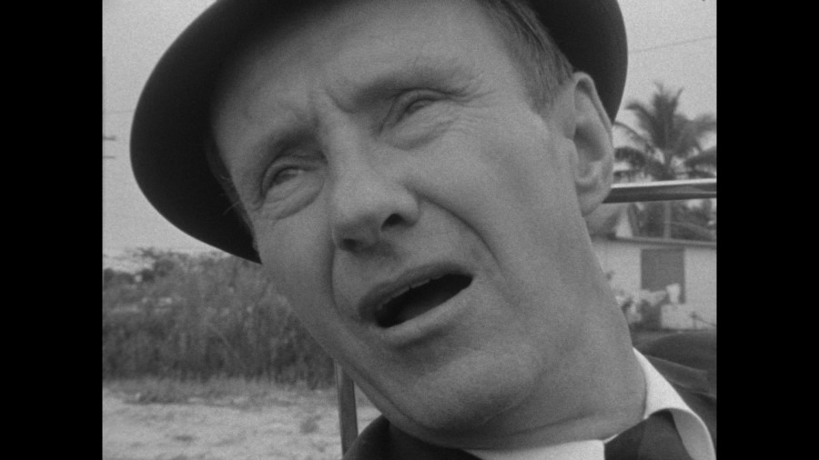 Screen capture from Salesman