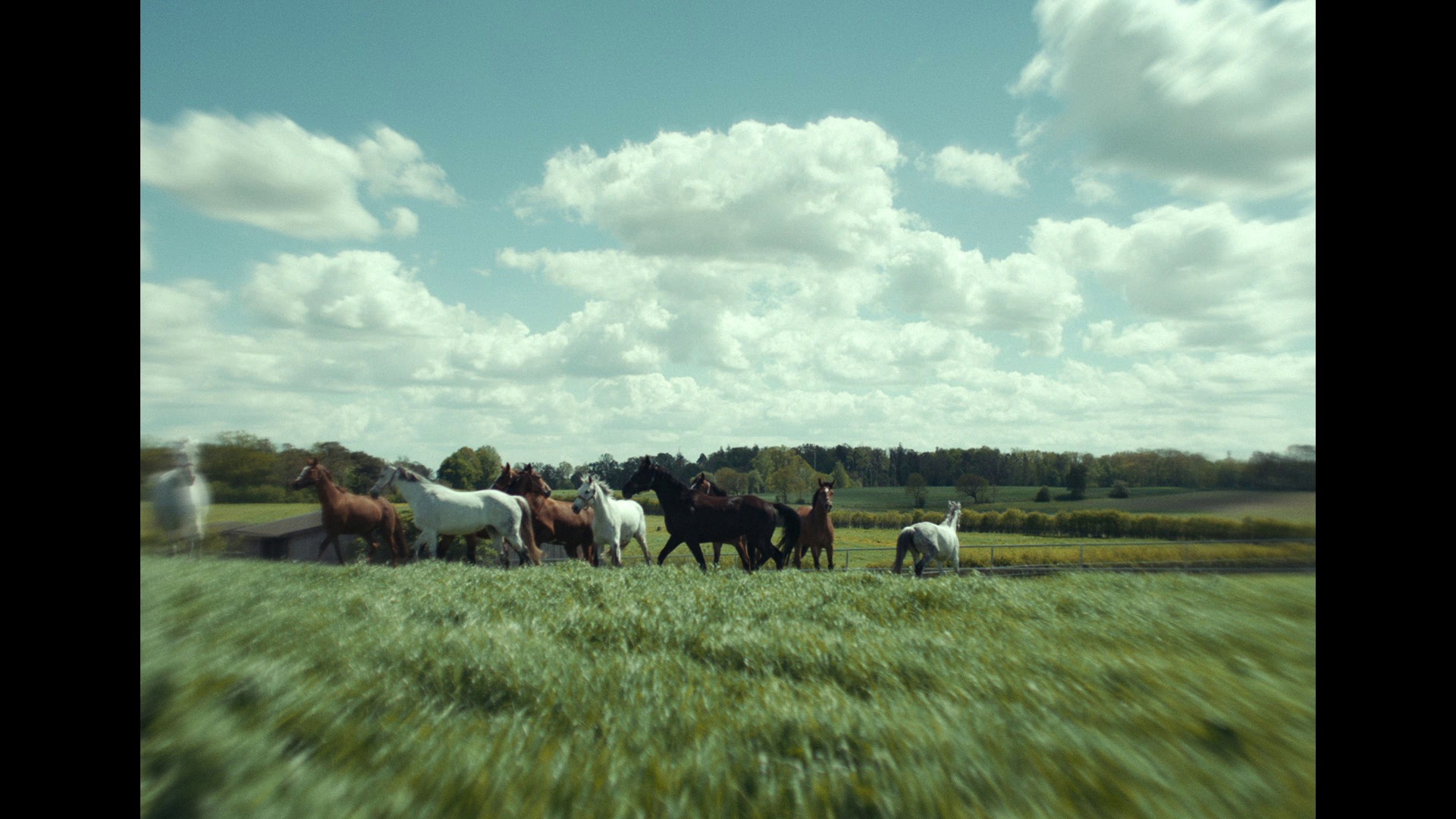 Screen capture from EO