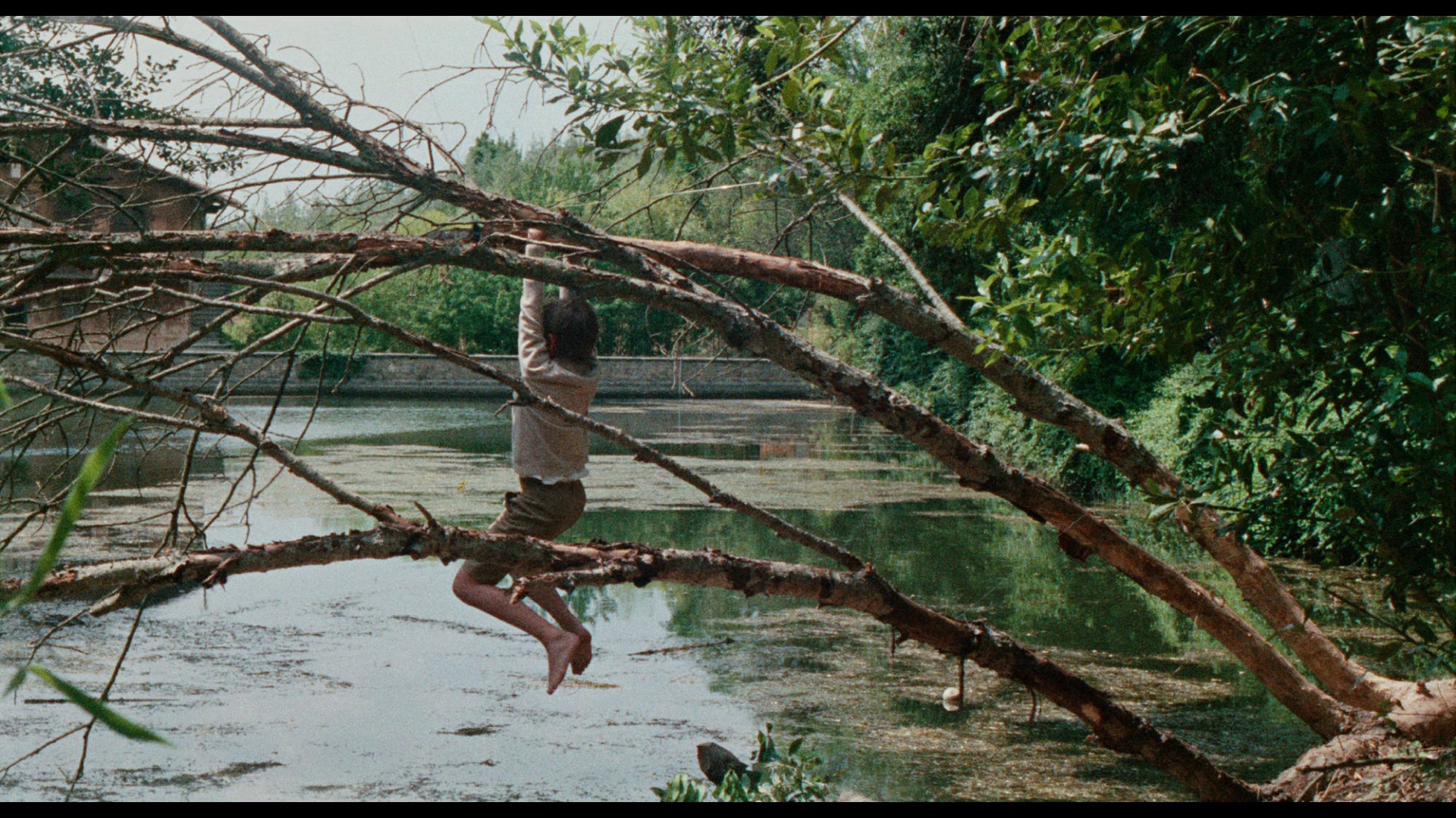 Screen capture from Misunderstood